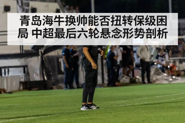 soccer coach sideline | kaiyun