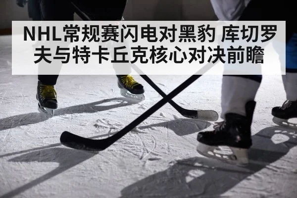 NHL常规赛闪电对黑豹 库切罗夫与特卡丘克核心对决前瞻 - kaiyun